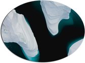 Dibond Ovaal - IJsrotsen in het Water - 68x51 cm Foto op Ovaal (Met Ophangsysteem)