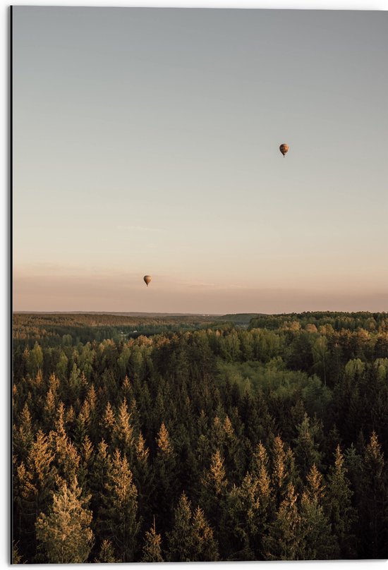 Dibond - Luchtballonnen boven de Bossen - 50x75 cm Foto op Aluminium (Wanddecoratie van metaal)