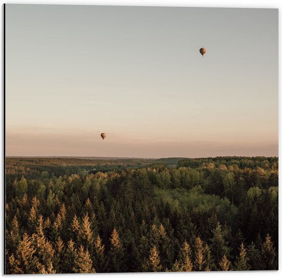 Dibond - Luchtballonnen boven de Bossen - 50x50 cm Foto op Aluminium (Met Ophangsysteem)