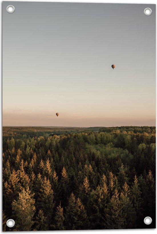 Tuinposter – Luchtballonnen boven de Bossen - 40x60 cm Foto op Tuinposter (wanddecoratie voor buiten en binnen)