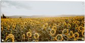 WallClassics - Tuinposter – Veld vol Zonnebloemen - 100x50 cm Foto op Tuinposter (wanddecoratie voor buiten en binnen)