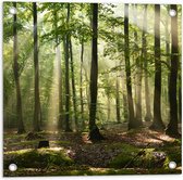 Tuinposter – Lichtstralen van Zon door Groene Bomen - 50x50 cm Foto op Tuinposter (wanddecoratie voor buiten en binnen)
