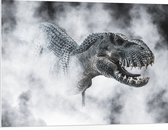 PVC Schuimplaat- Gevaarlijke T-rex Dinosauris in de Mist (Zwart- wit) - 100x75 cm Foto op PVC Schuimplaat