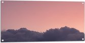 WallClassics - Tuinposter – Wolken met Roze Lucht - 100x50 cm Foto op Tuinposter (wanddecoratie voor buiten en binnen)