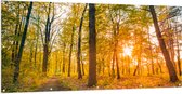 Tuinposter – Oranje Zonnestralen door Groen Bos - 200x100 cm Foto op Tuinposter (wanddecoratie voor buiten en binnen)