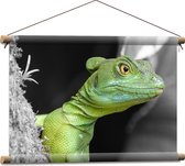 WallClassics - Affiche textile - Basilic couronne verte - 60x40 cm Photo sur textile