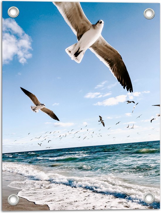 Tuinposter – Vliegende Meeuwen boven de Zee - 30x40 cm Foto op Tuinposter (wanddecoratie voor buiten en binnen)