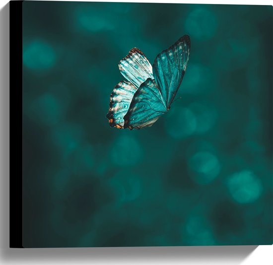 WallClassics - Canvas - Blauwe Vlinder in Blauwkleurige Omgeving - 40x40 cm Foto op Canvas Schilderij (Wanddecoratie op Canvas)