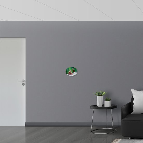 WallClassics - PVC Schuimplaat Ovaal - Duo van Bruine Vlinders op Boomstam - 28x21 cm Foto op Ovaal (Met Ophangsysteem)