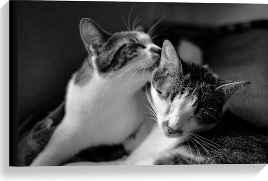 WallClassics - Canvas - Kat Likkend aan Katten Vriend (Zwart-wit) - 60x40 cm Foto op Canvas Schilderij (Wanddecoratie op Canvas)