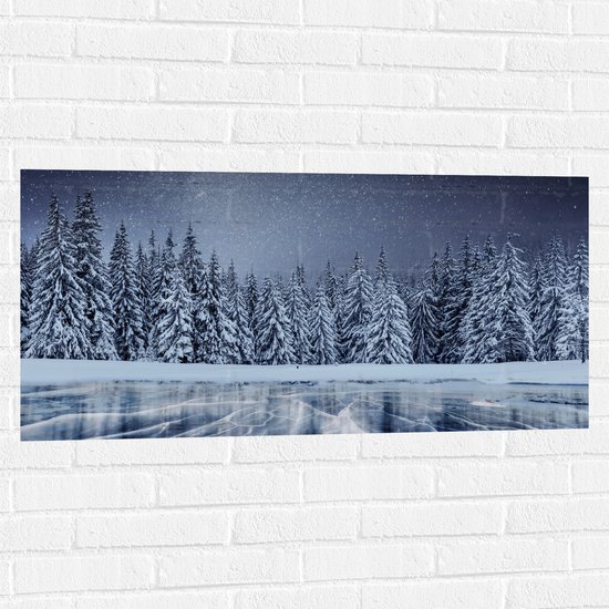 Muursticker - Heldere Sterrenhemel boven Dichtbegroeid Bos in Sneeuw Landschap - 100x50 cm Foto op Muursticker
