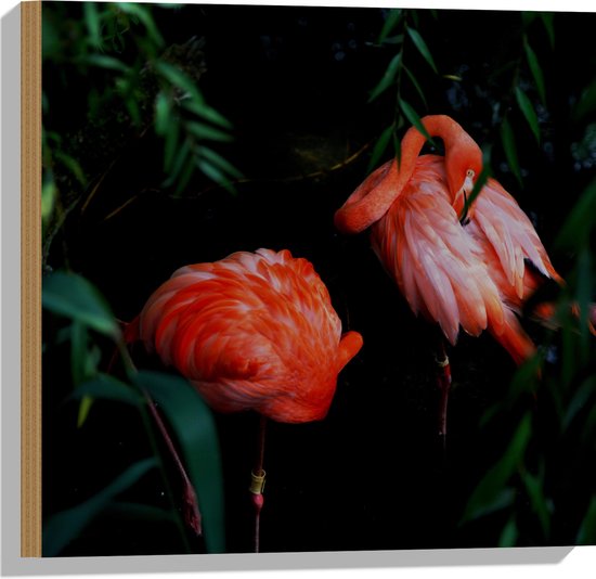 WallClassics - Hout - Felroze Flamingo's tussen Donkergroene Bladeren - 50x50 cm - 9 mm dik - Foto op Hout (Met Ophangsysteem)