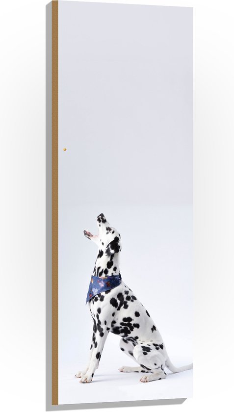 Hout - Zijaanzicht Dalmatiër met Witte Achtergrond - 40x120 cm - 9 mm dik - Foto op Hout (Met Ophangsysteem)