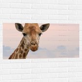 WallClassics - Muursticker - Kop van Aankijkende Giraffe - 100x50 cm Foto op Muursticker