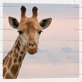 WallClassics - Muursticker - Kop van Aankijkende Giraffe - 50x50 cm Foto op Muursticker
