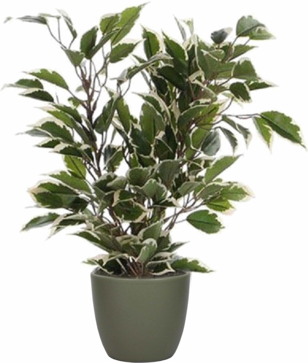 Mica Decorations Ficus kunstplant - groen/wit - 40 cm - met plantenpot - dennengroen - ker