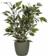Groen/witte ficus kunstplant 40 cm met plantenpot dennengroen D13.5 en H12.5 cm