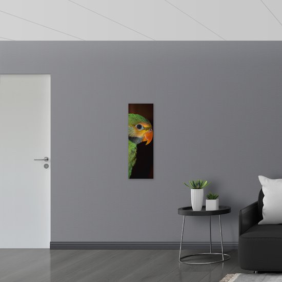 WallClassics - Panneau en mousse PVC - Perruche verte avec bec Oranje - Photo 30x90 cm sur panneau en mousse PVC