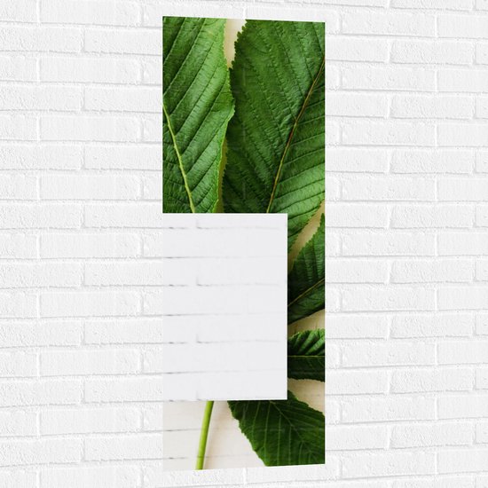 Muursticker - Wit Papier voor Groene Plant - 40x120 cm Foto op Muursticker