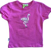 Billy Lilly - chemise - rose - flamant rose - fille