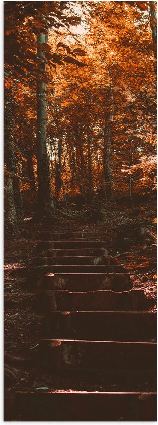 Poster (Mat) - Stenen Trap in Herfstkleurig Bos met Zonnestralen - 30x90 cm Foto op Posterpapier met een Matte look