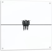 WallClassics - Tuinposter – Trio Vogels op Zwarte Lijn - 80x80 cm Foto op Tuinposter (wanddecoratie voor buiten en binnen)