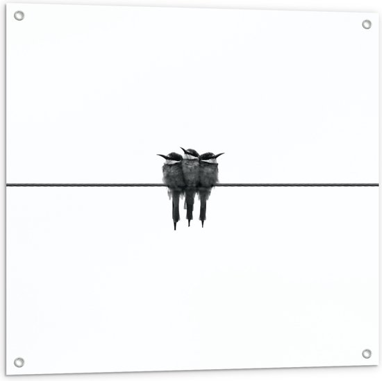 WallClassics - Tuinposter – Trio Vogels op Zwarte Lijn - 80x80 cm Foto op Tuinposter (wanddecoratie voor buiten en binnen)
