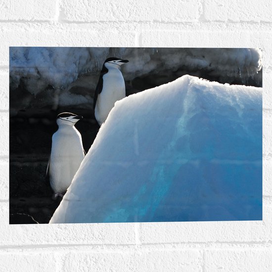 WallClassics - Muursticker - Pingiuns op Verhoging in IJslandschap - 40x30 cm Foto op Muursticker