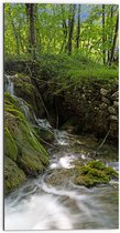 Dibond - Kleine Watervallen Stromend in Riviertje in het Bos - 50x100 cm Foto op Aluminium (Wanddecoratie van metaal)