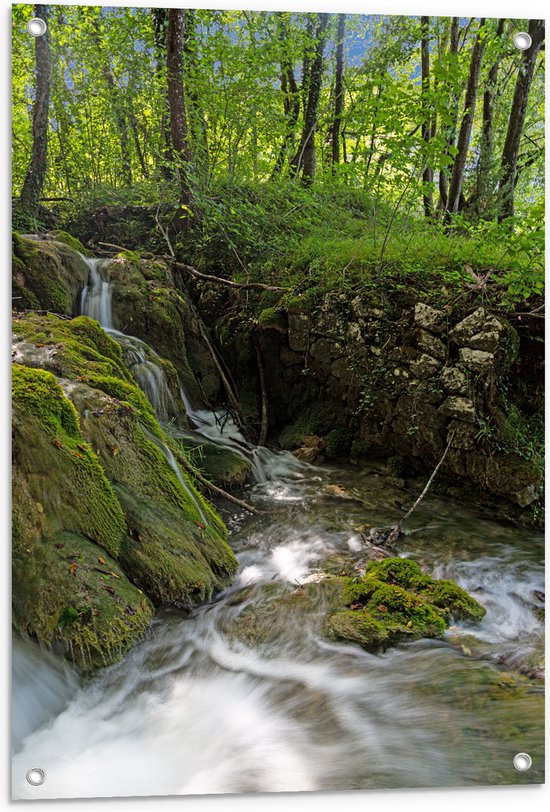 Tuinposter – Kleine Watervallen Stromend in Riviertje in het Bos - 60x90 cm Foto op Tuinposter (wanddecoratie voor buiten en binnen)