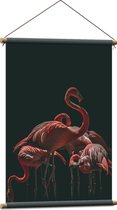 Textielposter - Groepje Flamingo's met Zwarte Achtergrond - 60x90 cm Foto op Textiel