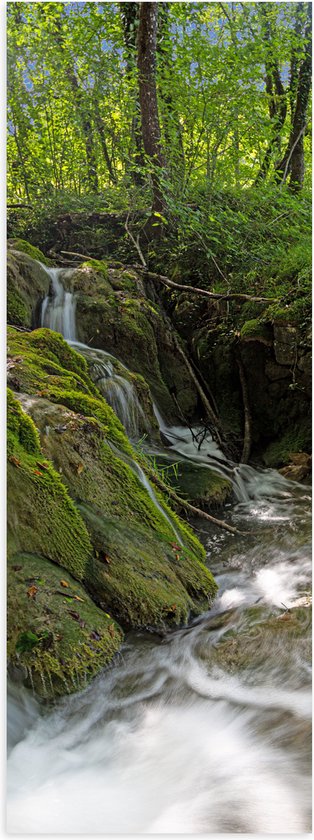 Poster (Mat) - Kleine Watervallen Stromend in Riviertje in het Bos - 30x90 cm Foto op Posterpapier met een Matte look