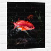 WallClassics - Muursticker - Rode Vis Zwemmend in Vijver - 60x80 cm Foto op Muursticker