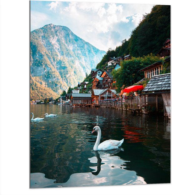 Dibond - Zwanen in het Water bij Huisjes aan de Berg - 75x100 cm Foto op Aluminium (Wanddecoratie van metaal)