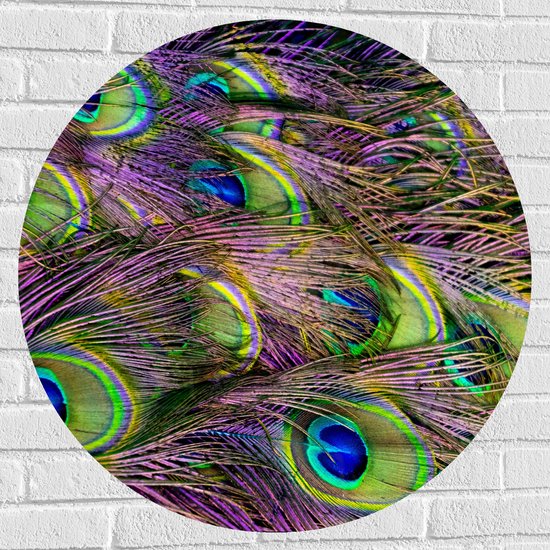 Muursticker Cirkel - Gekleurde Pauwen Veren - 80x80 cm Foto op Muursticker