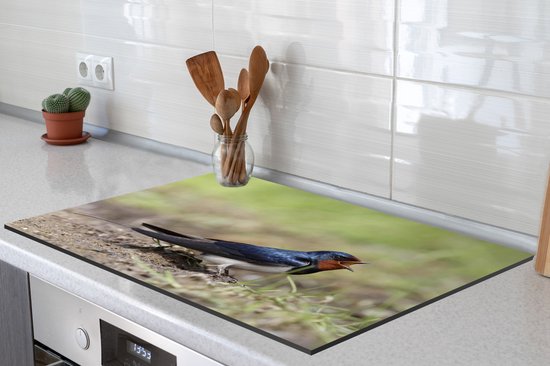 KitchenYeah® Inductie beschermer 77x51 cm - Een boerenzwaluw zittend op de grond - Kookplaataccessoires - Afdekplaat voor kookplaat - Inductiebeschermer - Inductiemat - Inductieplaat mat