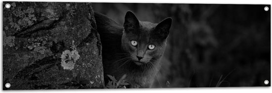 Tuinposter – Aankijkende Kat bij Boom (zwart- wit) - 120x40 cm Foto op Tuinposter (wanddecoratie voor buiten en binnen)