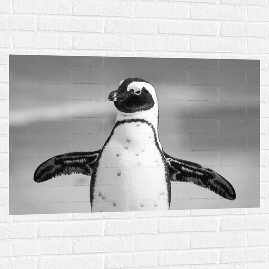 WallClassics - Muursticker - Pingiun met Gespreide Armen (Zwart, wit) - 105x70 cm Foto op Muursticker