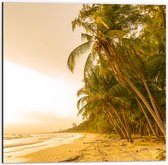 Dibond - Kokosnoot Palmbomen aan het Strand tijdens Felle Zonsopkomst - 50x50 cm Foto op Aluminium (Met Ophangsysteem)