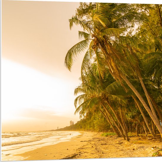 PVC Schuimplaat- Kokosnoot Palmbomen aan het Strand tijdens Felle Zonsopkomst - 80x80 cm Foto op PVC Schuimplaat