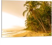 Dibond - Kokosnoot Palmbomen aan het Strand tijdens Felle Zonsopkomst - 100x75 cm Foto op Aluminium (Met Ophangsysteem)