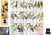 Bob Online ™ - 30 Stuks - Vogel Bladwijzers – Karton Boekenlegers – Bird Book Marks – Bericht Kaart – Boekenlegers – Book Markers – DIY Decoratie Scrapbooking & Kaarten Maken Enz.