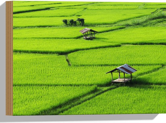 Hout - Houten Hutjes in Grote Groene Rijstvelden in Vietnam - 40x30 cm - 9 mm dik - Foto op Hout (Met Ophangsysteem)