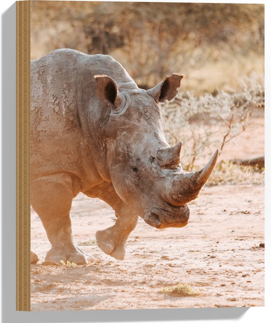 Hout - Neushoorn Lopend over Afrikaans Landschap tijdens Zonsondergang - 30x40 cm - 9 mm dik - Foto op Hout (Met Ophangsysteem)