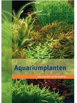 Aquariumplanten