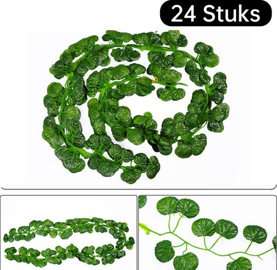 24 stuks klimop slinger met ronde, groene blaadjes, opgerold.