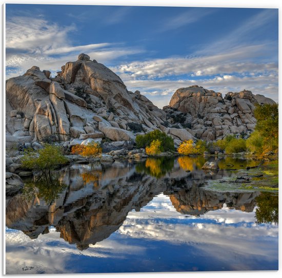 PVC Schuimplaat - Rotsen aan het Water bij Joshua Tree National Park overdag - 50x50 cm Foto op PVC Schuimplaat (Met Ophangsysteem)