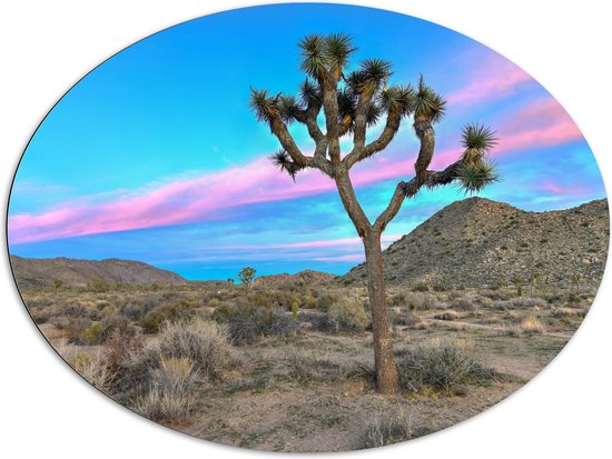 Dibond Ovaal - Landschap met Prachtig Roze en Blauw Gekleurde Lucht - 108x81 cm Foto op Ovaal (Met Ophangsysteem)