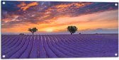 Tuinposter – Zonsondergang bij Lavendel Veld in de Zomer - 100x50 cm Foto op Tuinposter (wanddecoratie voor buiten en binnen)