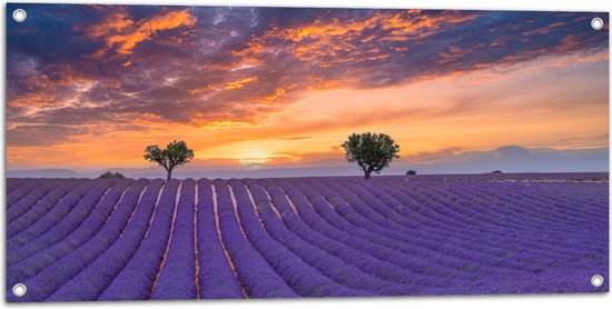 Tuinposter – Zonsondergang bij Lavendel Veld in de Zomer - 100x50 cm Foto op Tuinposter (wanddecoratie voor buiten en binnen)